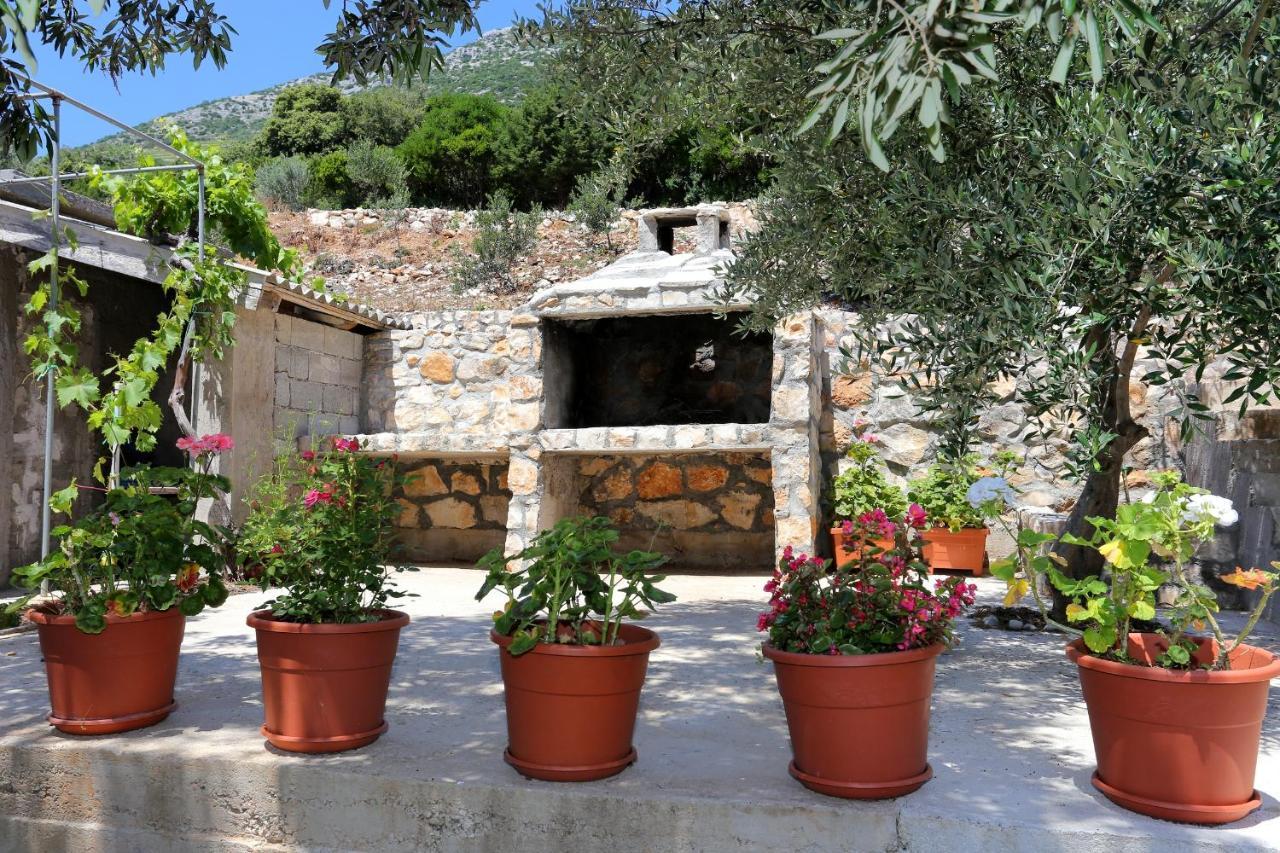 Apartments By The Sea Dingac - Potocine, Peljesac - 4533 Potomje ภายนอก รูปภาพ